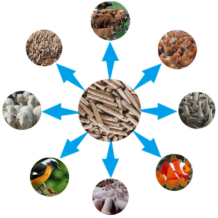 秸稈飼料顆粒機(jī)顆粒用途圖片