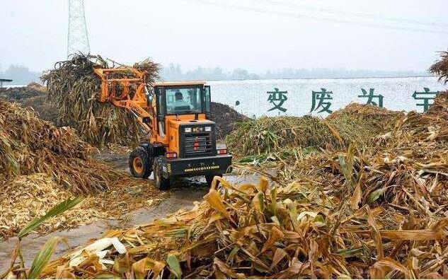 黑土地上的‘秸稈經(jīng)紀人’要讓秸稈牛起來，變成‘寶’